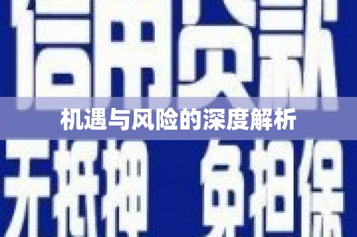 射阳机遇与风险的深度解析