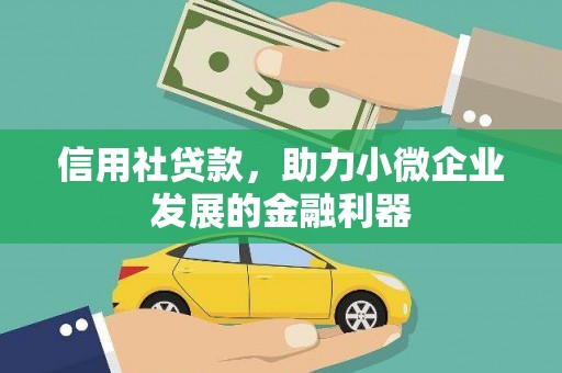 射阳信用社贷款，助力小微企业发展的金融利器
