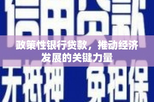 射阳政策性银行贷款，推动经济发展的关键力量
