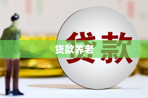 射阳贷款养老