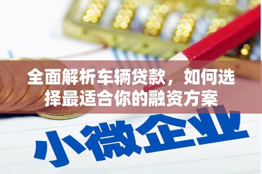 射阳全面解析车辆贷款，如何选择最适合你的融资方案