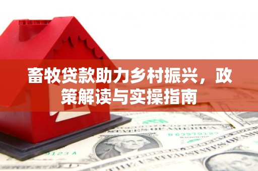 射阳畜牧贷款助力乡村振兴，政策解读与实操指南