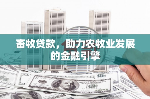 射阳畜牧贷款，助力农牧业发展的金融引擎