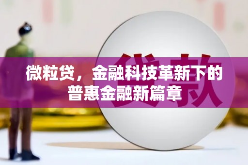 射阳微粒贷，金融科技革新下的普惠金融新篇章