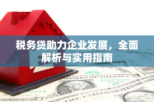 射阳税务贷助力企业发展，全面解析与实用指南