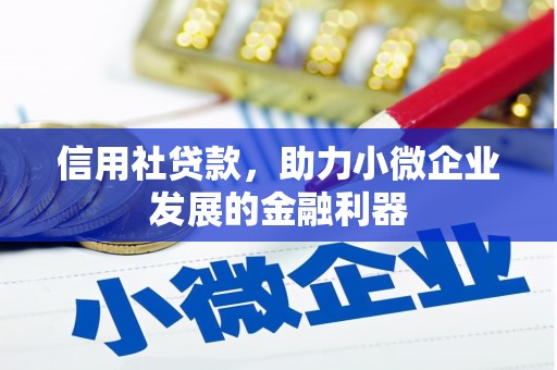 射阳信用社贷款，助力小微企业发展的金融利器
