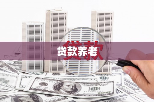 射阳贷款养老