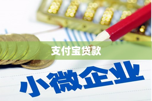 射阳支付宝贷款
