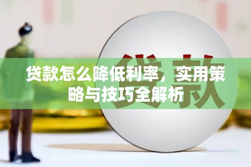 射阳贷款怎么降低利率，实用策略与技巧全解析