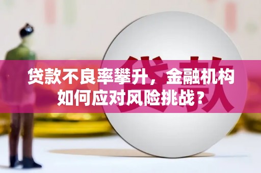 射阳贷款不良率攀升，金融机构如何应对风险挑战？