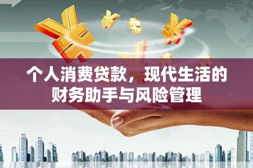 射阳个人消费贷款，现代生活的财务助手与风险管理