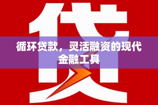 射阳循环贷款，灵活融资的现代金融工具