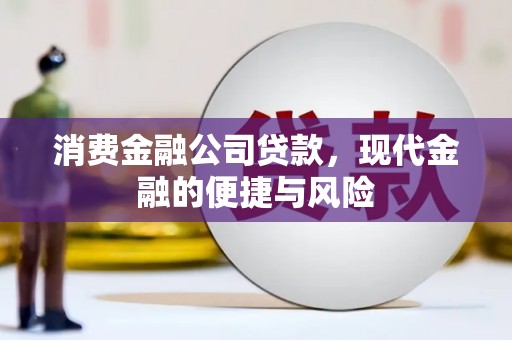 射阳消费金融公司贷款，现代金融的便捷与风险