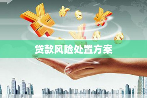 射阳贷款风险处置方案