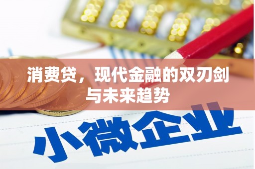 射阳消费贷，现代金融的双刃剑与未来趋势