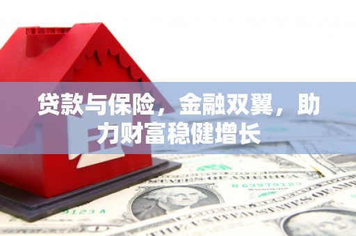 射阳贷款与保险，金融双翼，助力财富稳健增长