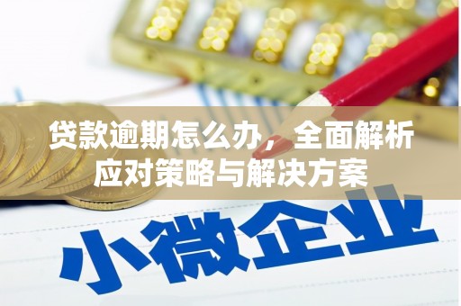 射阳贷款逾期怎么办，全面解析应对策略与解决方案