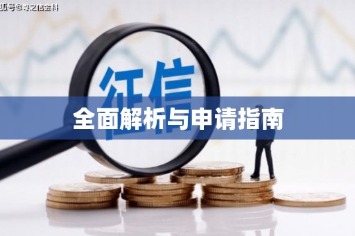 射阳全面解析与申请指南