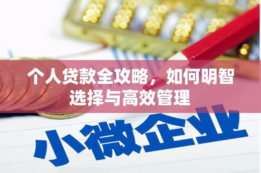 射阳个人贷款全攻略，如何明智选择与高效管理