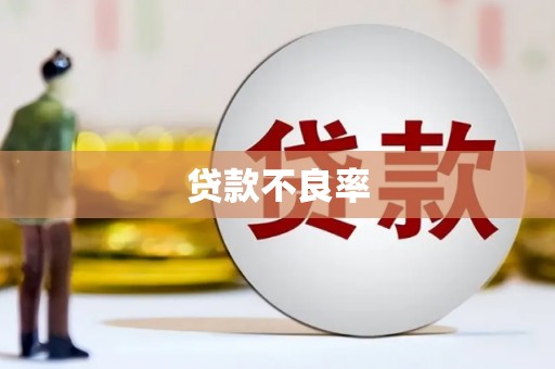 射阳贷款不良率