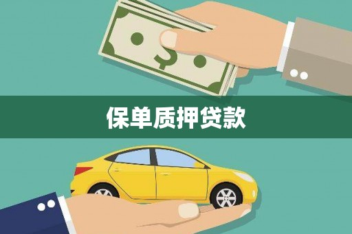 射阳保单质押贷款