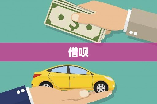 射阳借呗