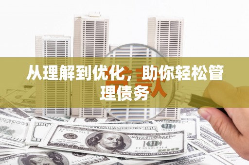 射阳从理解到优化，助你轻松管理债务
