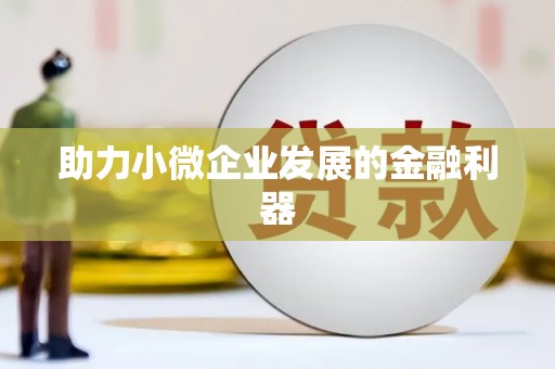 射阳助力小微企业发展的金融利器