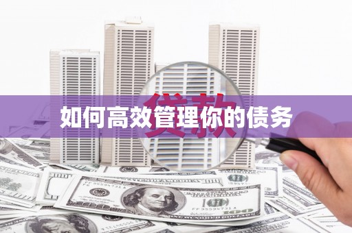 射阳如何高效管理你的债务