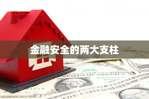 射阳金融安全的两大支柱