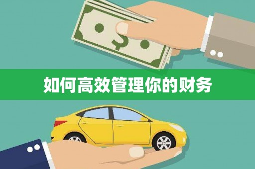 射阳如何高效管理你的财务
