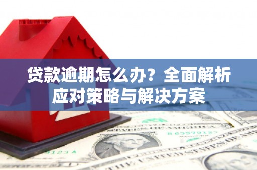 射阳贷款逾期怎么办？全面解析应对策略与解决方案