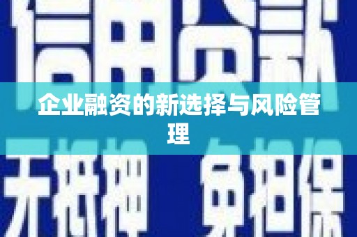 射阳企业融资的新选择与风险管理