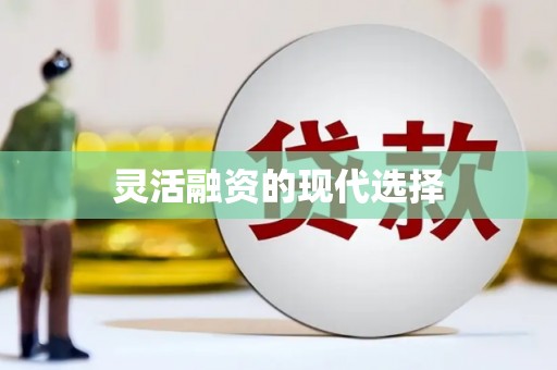 射阳灵活融资的现代选择