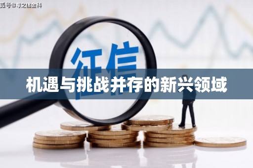 射阳机遇与挑战并存的新兴领域