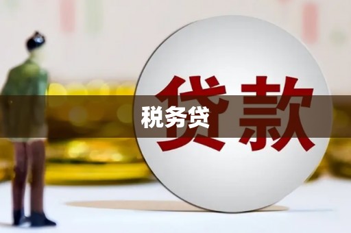 射阳税务贷