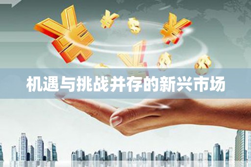射阳机遇与挑战并存的新兴市场