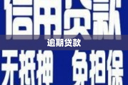 射阳逾期贷款